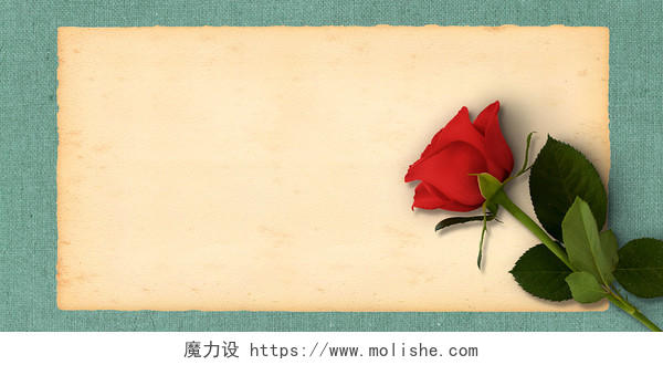 情人节玫瑰花唯美浪漫简约质感展板背景